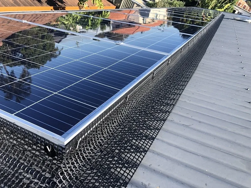 Next Phase Solar bird-proofing mesh fitted around the edge of rooftop solar panels on a metal roof
